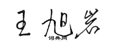 骆恒光王旭岩草书个性签名怎么写
