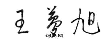 骆恒光王梦旭草书个性签名怎么写