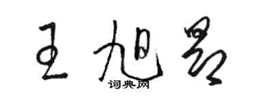 骆恒光王旭昂草书个性签名怎么写