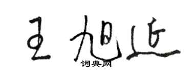 骆恒光王旭延草书个性签名怎么写