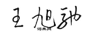 骆恒光王旭驰草书个性签名怎么写