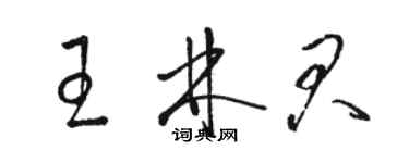 骆恒光王林君草书个性签名怎么写