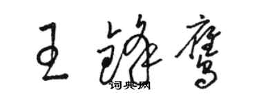 骆恒光王锋鹰草书个性签名怎么写