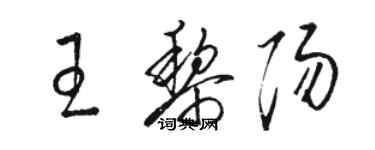 骆恒光王黎阳草书个性签名怎么写