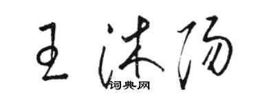 骆恒光王沐阳草书个性签名怎么写
