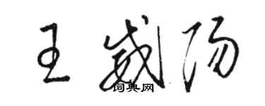 骆恒光王威阳草书个性签名怎么写