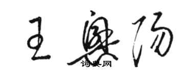 骆恒光王兴阳草书个性签名怎么写