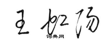 骆恒光王虹阳草书个性签名怎么写