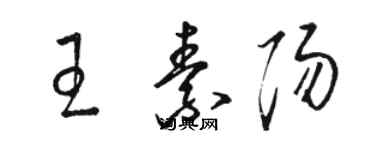 骆恒光王素阳草书个性签名怎么写