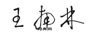骆恒光王南林草书个性签名怎么写