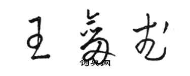 骆恒光王剑武草书个性签名怎么写