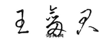 骆恒光王剑君草书个性签名怎么写