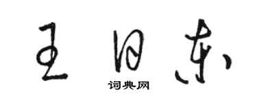 骆恒光王日东草书个性签名怎么写