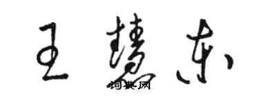 骆恒光王慧东草书个性签名怎么写