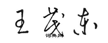 骆恒光王茂东草书个性签名怎么写