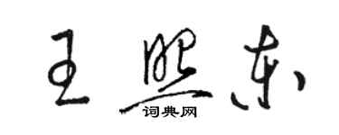 骆恒光王照东草书个性签名怎么写