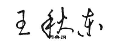 骆恒光王秋东草书个性签名怎么写