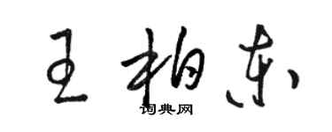 骆恒光王柏东草书个性签名怎么写