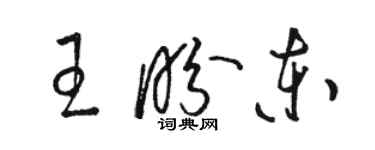 骆恒光王盼东草书个性签名怎么写