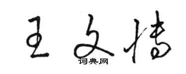 骆恒光王文博草书个性签名怎么写