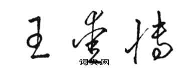 骆恒光王爱博草书个性签名怎么写