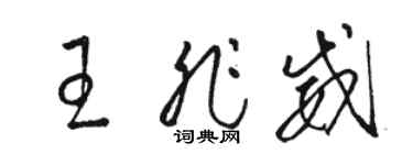 骆恒光王非威草书个性签名怎么写