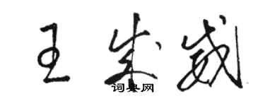 骆恒光王成威草书个性签名怎么写