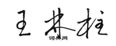 骆恒光王林柱草书个性签名怎么写