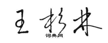 骆恒光王杉林草书个性签名怎么写