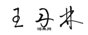骆恒光王丹林草书个性签名怎么写