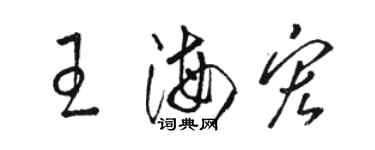 骆恒光王海宏草书个性签名怎么写