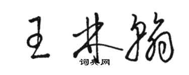 骆恒光王林翰草书个性签名怎么写