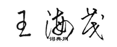 骆恒光王海茂草书个性签名怎么写