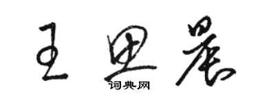 骆恒光王思晨草书个性签名怎么写