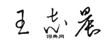 骆恒光王志晨草书个性签名怎么写
