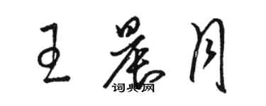 骆恒光王晨月草书个性签名怎么写