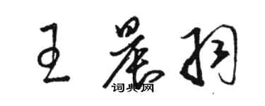 骆恒光王晨羽草书个性签名怎么写