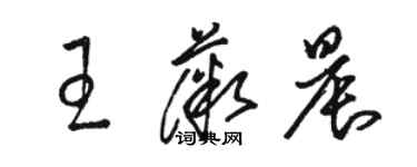 骆恒光王薇晨草书个性签名怎么写