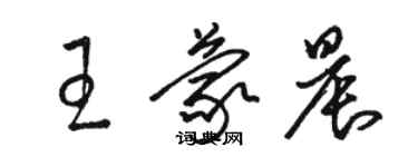 骆恒光王蒙晨草书个性签名怎么写
