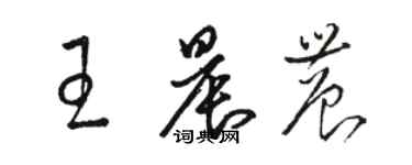 骆恒光王晨农草书个性签名怎么写