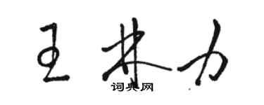 骆恒光王林力草书个性签名怎么写