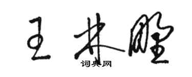 骆恒光王林野草书个性签名怎么写