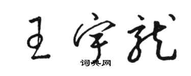 骆恒光王宇龙草书个性签名怎么写
