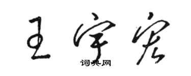骆恒光王宇宏草书个性签名怎么写