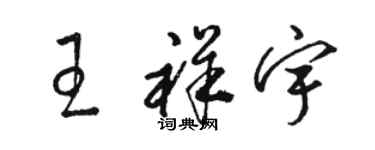 骆恒光王祥宇草书个性签名怎么写