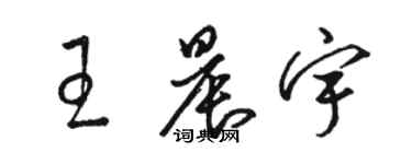 骆恒光王晨宇草书个性签名怎么写