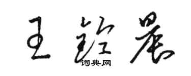 骆恒光王铃晨草书个性签名怎么写