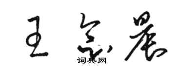 骆恒光王念晨草书个性签名怎么写