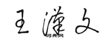骆恒光王汉文草书个性签名怎么写