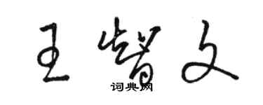 骆恒光王智文草书个性签名怎么写